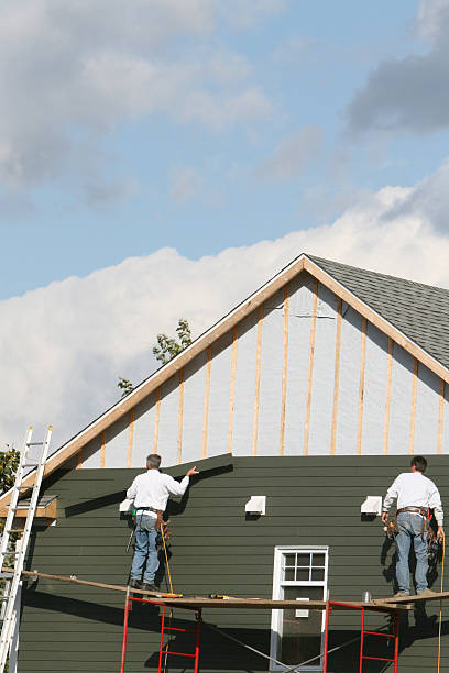 Best Storm Damage Siding Repair  in Forest Hills, TN