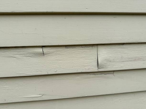 Storm Damage Siding Repair in Forest Hills, TN